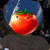 TomatoIndustrialAgency