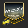 GinoxXP